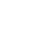 Integrity icon
